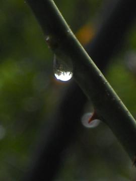 �ˑR�̉J�~��ŁE�E�E