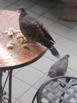 ���H���^�C��