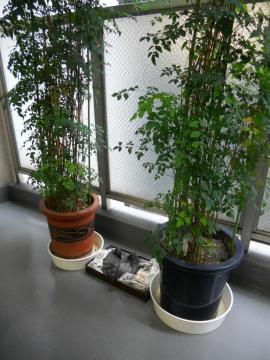 ��l���ǂ��I