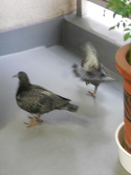 ��Ԃ��m�ÁE�E�E