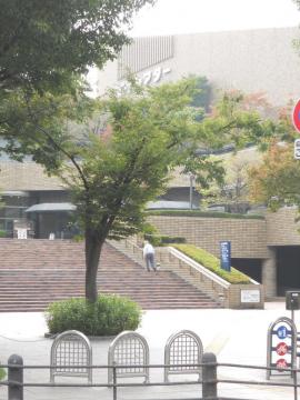 �s����فF���̃��C�V�A�^�[