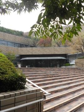 ���ʌ���