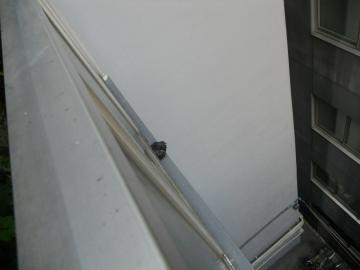 �r����5�K����E�E�E