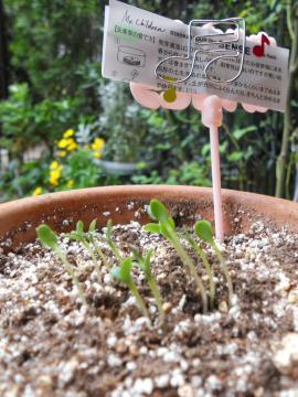 ���z�֌������Ĕ��肵�Ă���E�E�E���̊ԂɁE�E�E�I