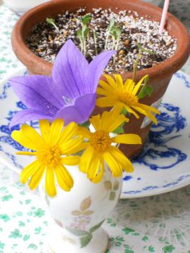 �j�I����U+2665