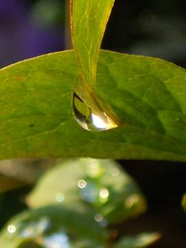 �������߂āB�B�B