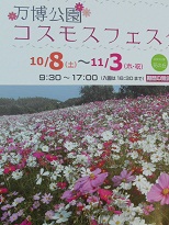 ���������R�X���X�t�F�X�^