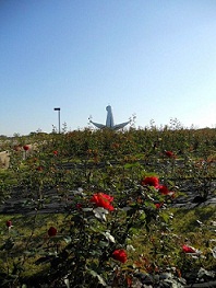 �Ԃ��o���������ł��B