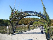 �傫�ȃA�[�`