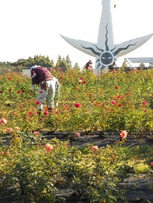 �X�^�b�t����