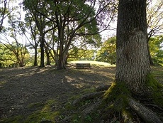 ���C�ɓ���x���`