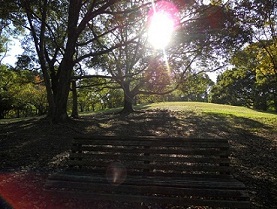 ���������߂Â�