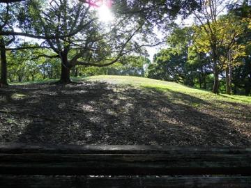 ����ƋC���������������B�B�B