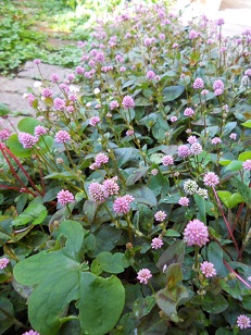 �q���c���\�o