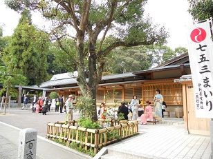 ���܎O�Q��