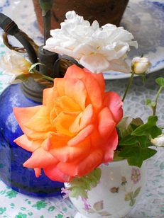 �����̃A�����W�F�t�����C�e�ƃX�e���O���C