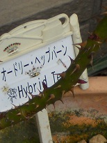 I[h[wbvo[