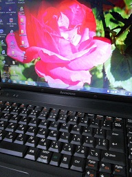 PCɂނEEE