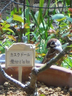 ڂ郂mƂŁI