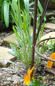 ~X`2011CũObYԑU+2665