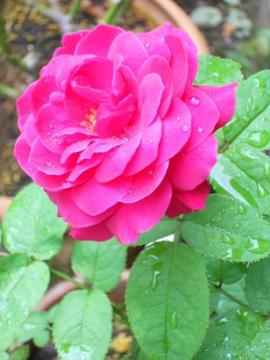 L.DuXEFCg