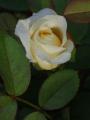 fB[qh