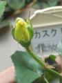 JXNh[