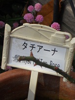 ^`A[i