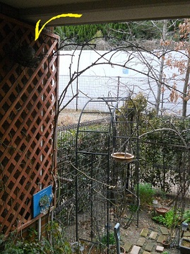 [5A瓮BBB͂悢AAA(#^.^#)