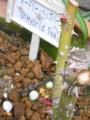I[h[wbvo[iLMU+2665jBBBBBB