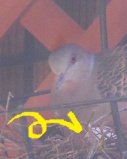 ܂ЂƂA݂͂łĂ܂`^_^;