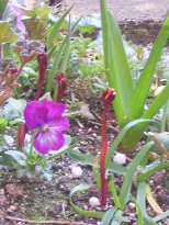 䉖EqVXErI
