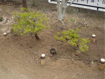 gJpCv̐ݒuɂ{쏈u{ڐA