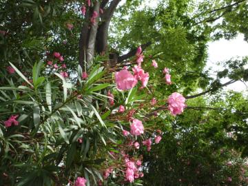 �L���E�`�N�g�E