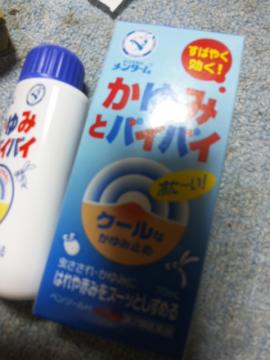 ����ݎ~��