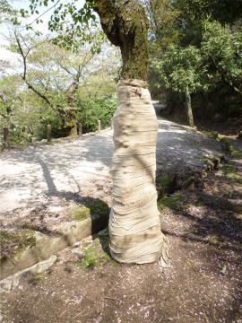 �����s�s�{���ɂ�����؎��Âƌ������̃f�^�������