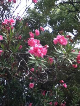 �L���E�`�N�g�E