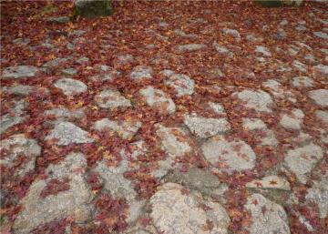 �{���̃��~�W