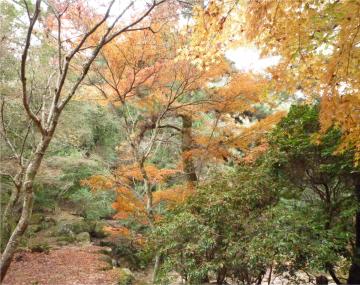 �{���̃��~�W