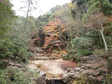 �{���̃��~�W