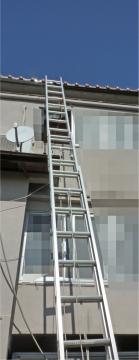 �O�A�n�V�S