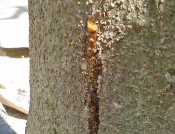 �����H�Q