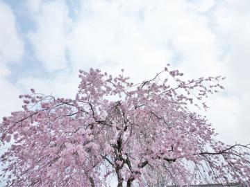 �L���� �����s�s�{���̍�