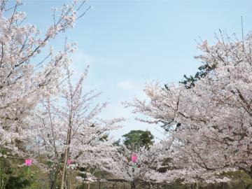 �����s�s�{���̍�