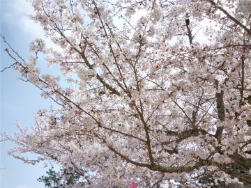 �����s�s�{���̍�