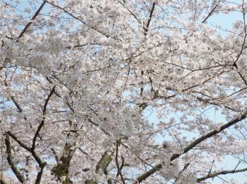 �����s�s�{���̍�