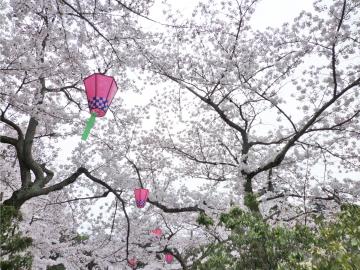 �����s�s�{���̍�