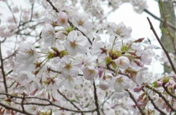 �����s�s�{���̍�