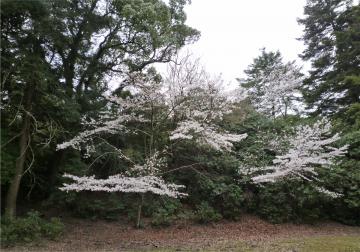 �����s�s�{���̍�