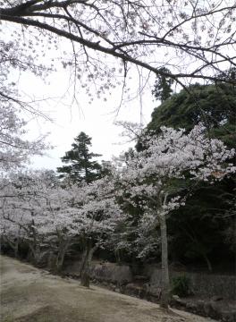 �����s�s�{���̍�